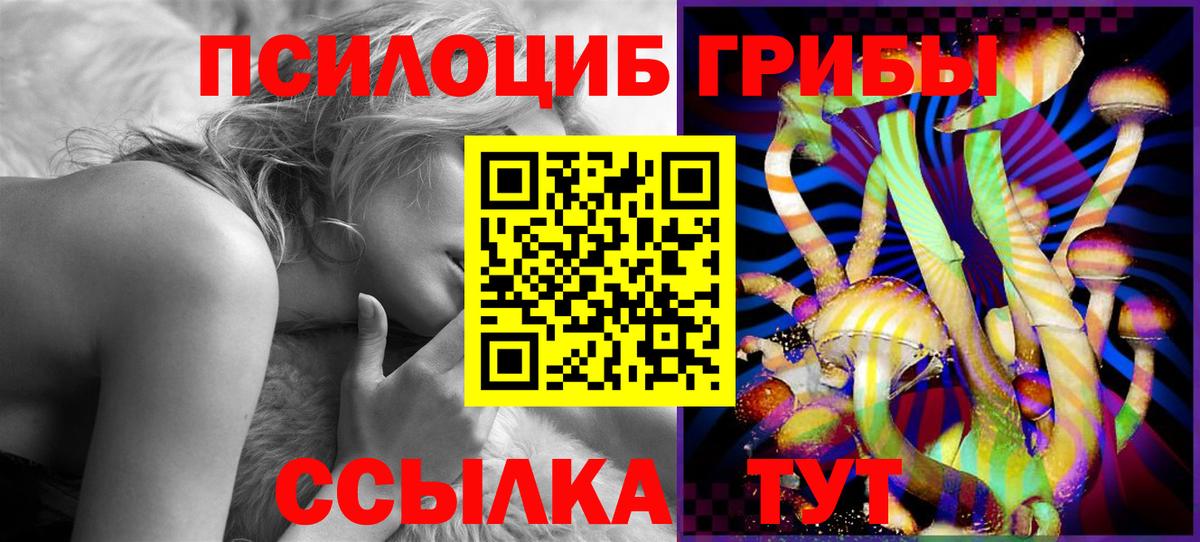 Галлюциногенные грибы мухоморы Северобайкальск